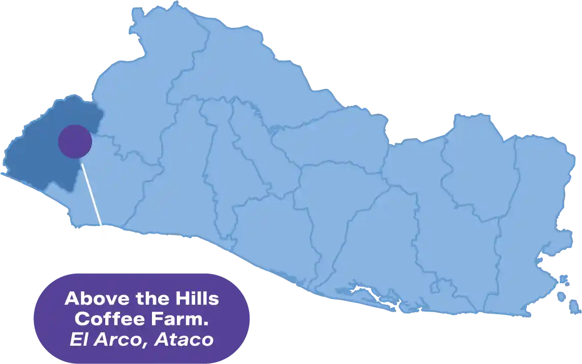 Map of coffee farm location